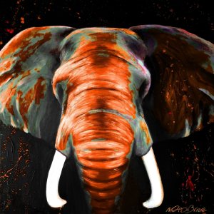 Elephant in Danger - Orange