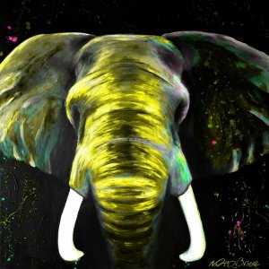Elephant in Danger - Yellow