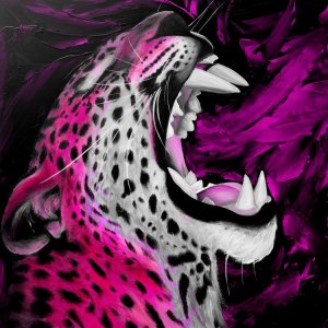 Jaguar in Danger - Pink